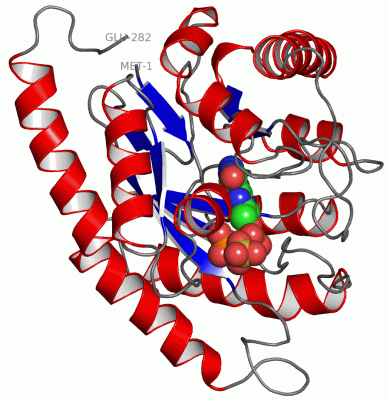 Image Asym./Biol. Unit - manually