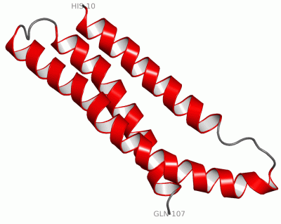 Image NMR Structure - manually