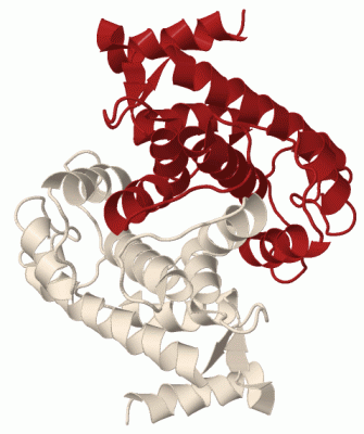 Image Biol.Unit 1 - manually