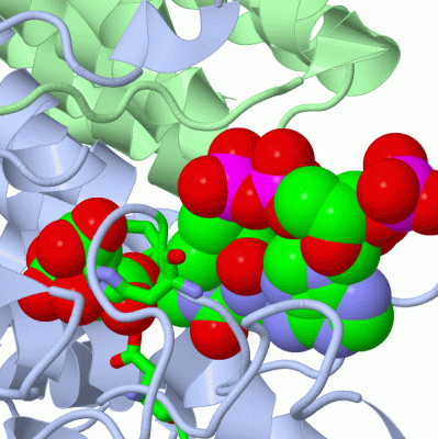 Image Asym./Biol. Unit - manually