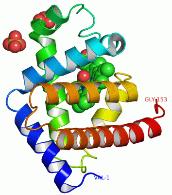 Image Asym./Biol. Unit - manually