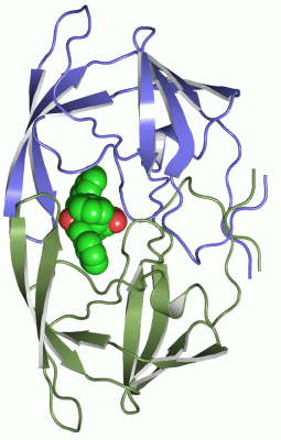 Image Asym./Biol. Unit - manually