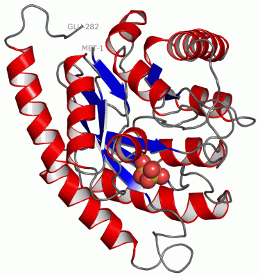 Image Asym./Biol. Unit - manually