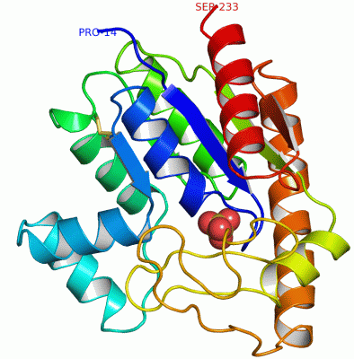 Image Asym./Biol. Unit - manually