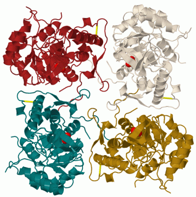 Image Biol.Unit 1 - manually