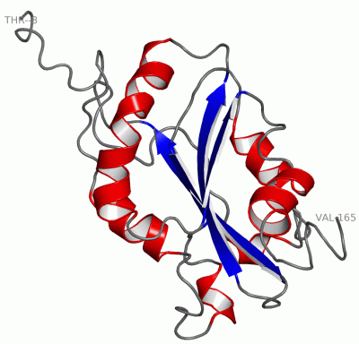 Image NMR Structure - manually