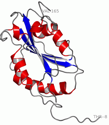 Image NMR Structure - manually