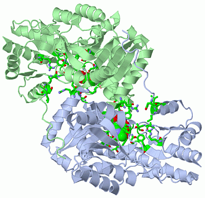 Image Asym./Biol. Unit - manually