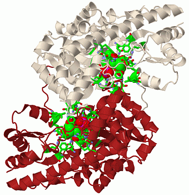 Image Biol.Unit 1 - manually