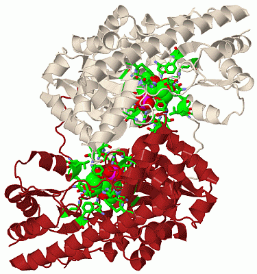 Image Biol.Unit 1 - manually
