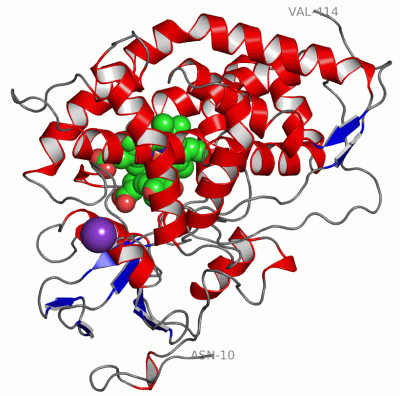 Image Asym./Biol. Unit - manually