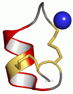 Image Asym./Biol. Unit - manually