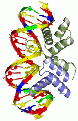 Image Asym./Biol. Unit - manually