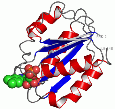 Image Asym./Biol. Unit - manually