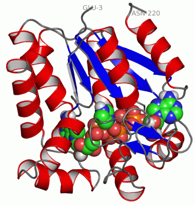 Image Asym./Biol. Unit - manually