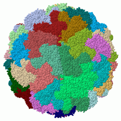 Image Biol.Unit 1 - manually