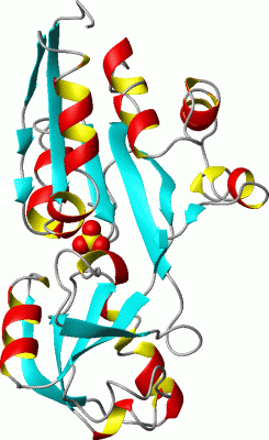 Image Asym./Biol. Unit - manually