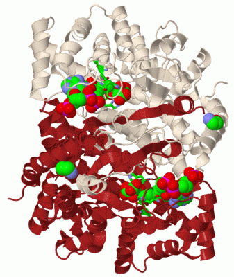 Image Biol.Unit 1 - manually