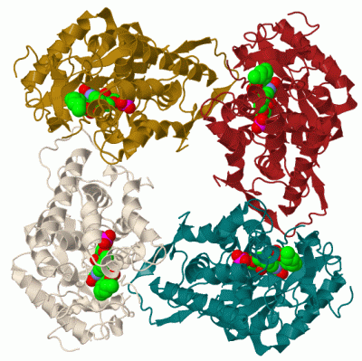 Image Biol.Unit 1 - manually