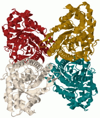 Image Biol.Unit 1 - manually