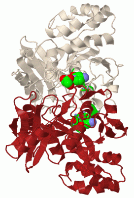 Image Biol.Unit 1 - manually