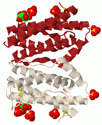 Image Biol.Unit 1 - manually