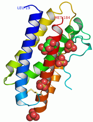 Image Asym.Unit - manually