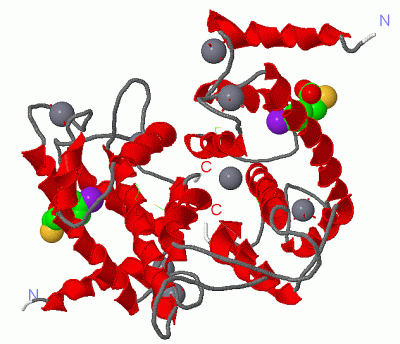 Image Asym./Biol. Unit - manually