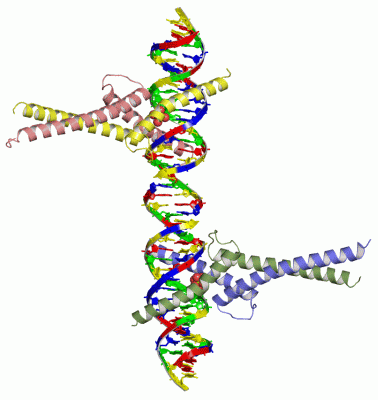 Image Asym./Biol. Unit - manually