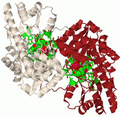 Image Biol.Unit 1 - manually