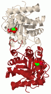 Image Biol.Unit 1 - manually