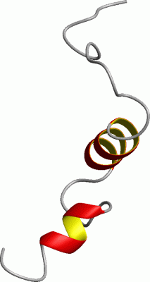 Image NMR Structure - manually