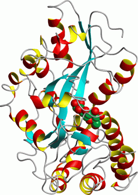 Image Asym./Biol. Unit - manually