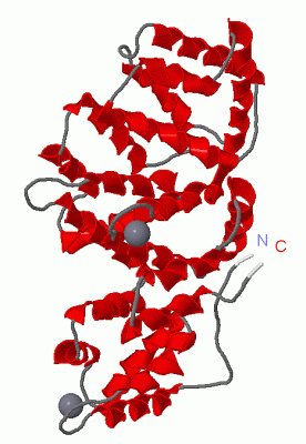 Image Asym./Biol. Unit - manually