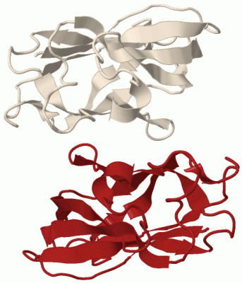 Image Biol.Unit 1 - manually