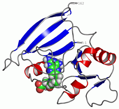 Image NMR Structure - manually