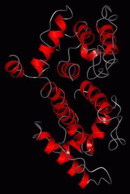 Image Asym./Biol. Unit - manually