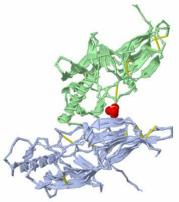 Image Asym./Biol. Unit - manually