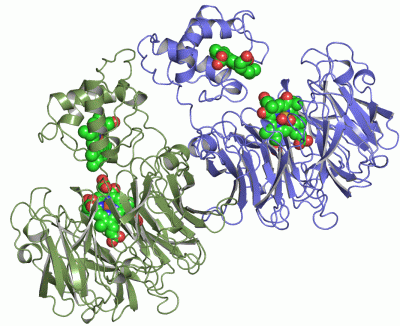 Image Asym./Biol. Unit - manually