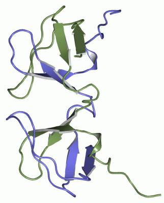 Image Asym./Biol. Unit - manually