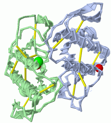 Image Asym./Biol. Unit - manually