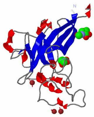 Image Asym./Biol. Unit - manually