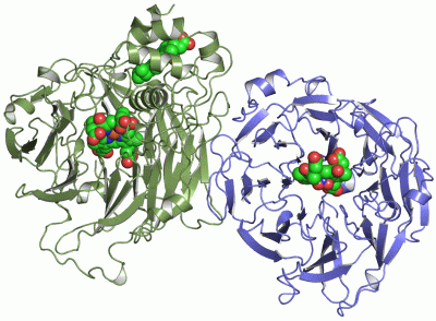 Image Asym./Biol. Unit - manually