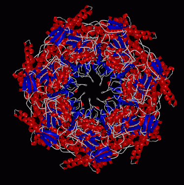 Image Asym./Biol. Unit - manually