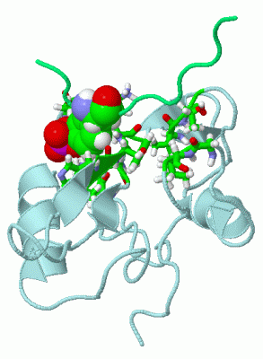 Image NMR Structure - manually