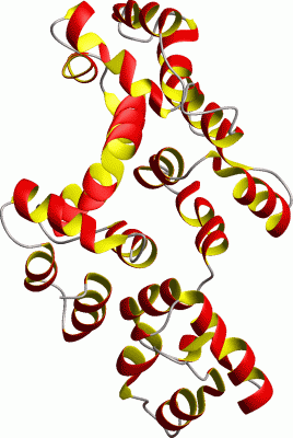 Image Asym./Biol. Unit - manually