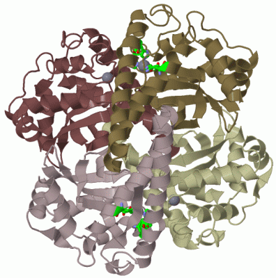 Image Biol.Unit 1 - manually