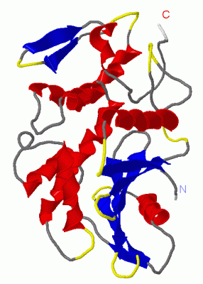 Image Asym./Biol. Unit - manually
