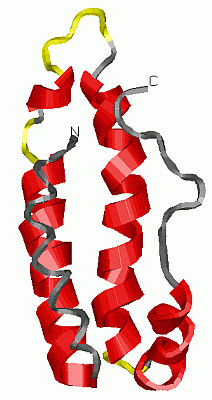 Image NMR Structure - manually