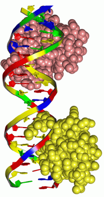 Image Asym./Biol. Unit - manually